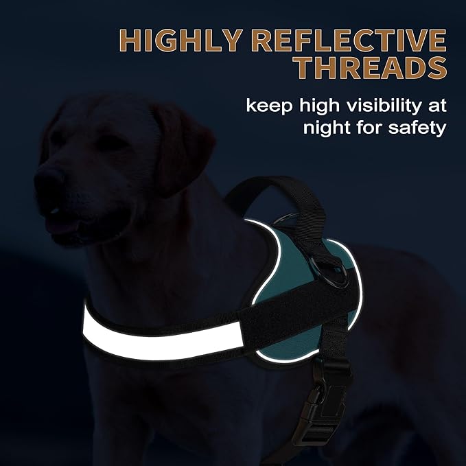 Haapaw Essential Dog Harness 3 Leash