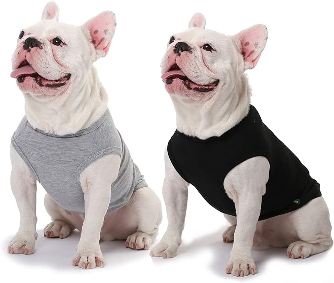 Dog Blank Large Shirts