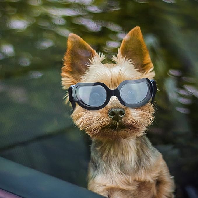 ENJOYING Dog Sunglasses Small Breed