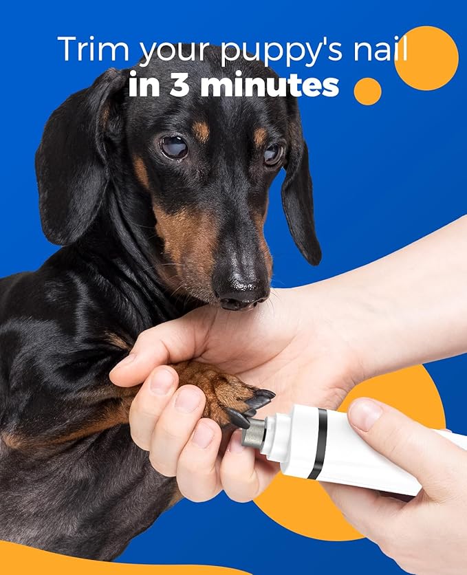 oneisall Paw Trimmer for Small Dogs Quiet 4 in 1 Small 2 Speed