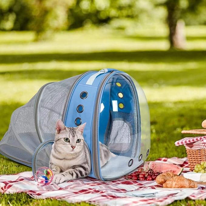 TOYSINTHEBOX Cat Backpack Carrier 13 Lbs