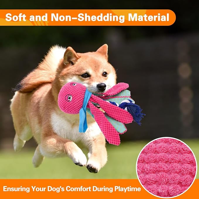 Squeaky Dog Toys