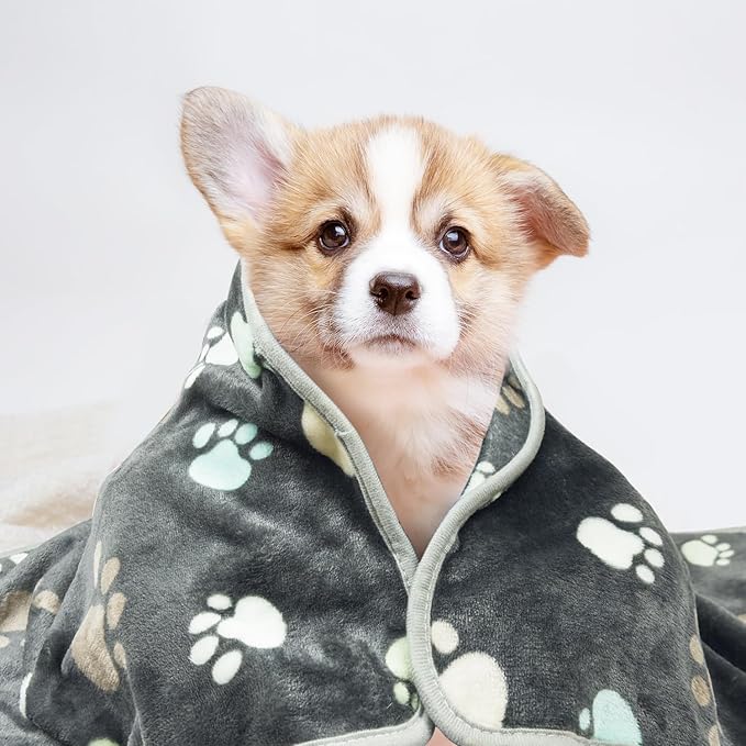 LeapSheep Pet Blankets for Dogs Cats 3Pack Heart