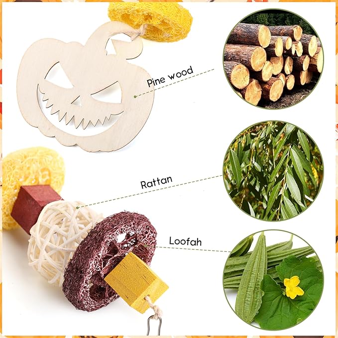 Abizoo Halloween Guinea Pig Chew Toys 3 Pcs