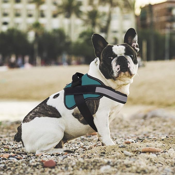 Bolux Dog Harness