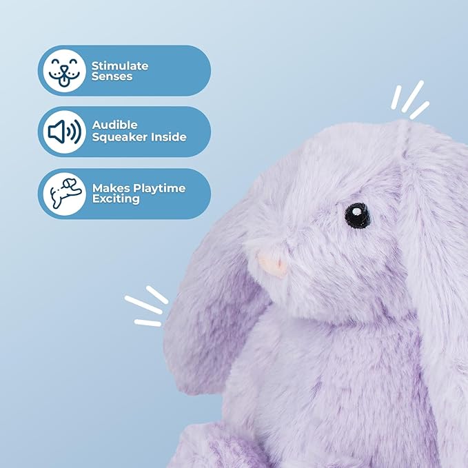 Best Pet Supplies Interactive Bunny Buddy Dog Toy with Crinkle and Squeaky Enrichment for Small and Medium Breed Puppies or Dogs