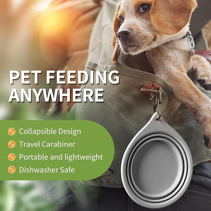 Dog Bowl Pet Travel Collapsible Bowls 2 Pack
