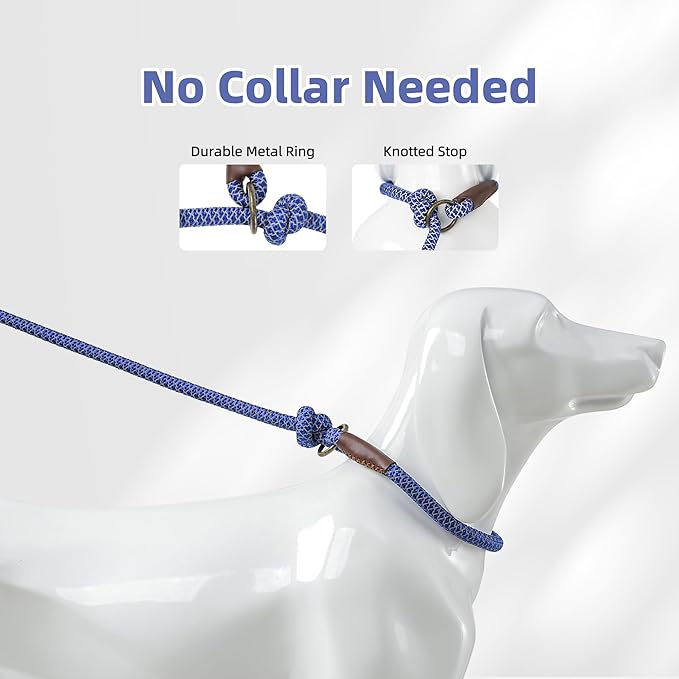 Mile High Life Slip Leads for Dogs 4 Feet