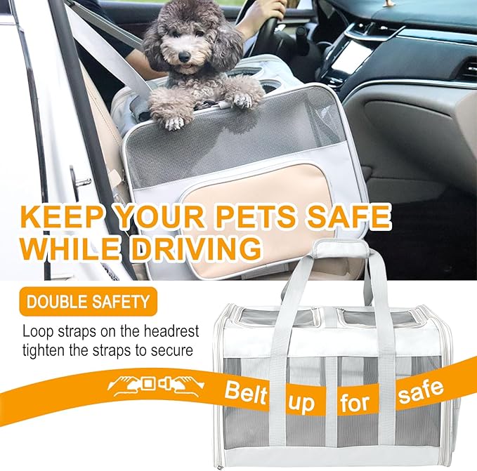 Rolling Cat Carrier for Two Cats with Wheels 2 Large 2 Cats 21" x 17" x 13",Not Airline