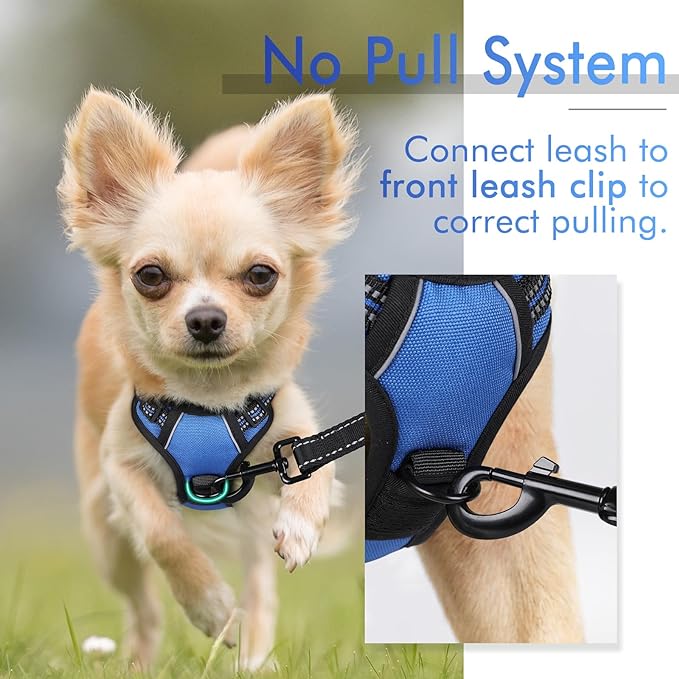 rabbitgoo Dog Harness 2 Leash
