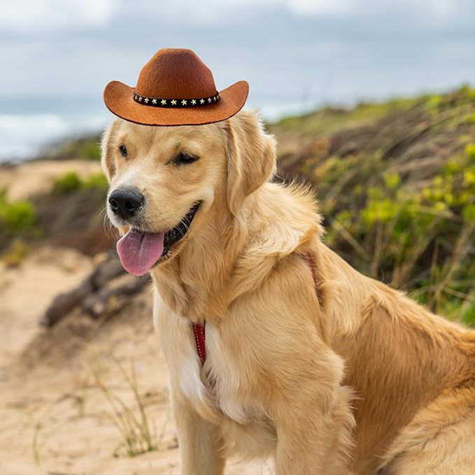 Dog Cowboy Hat Cat Cowboy Hat Mini Cowboy Hat for Dogs Cat Pet Cowboy Costume with Bandana Scarf Holiday Halloween Pet Party Decoration (brown