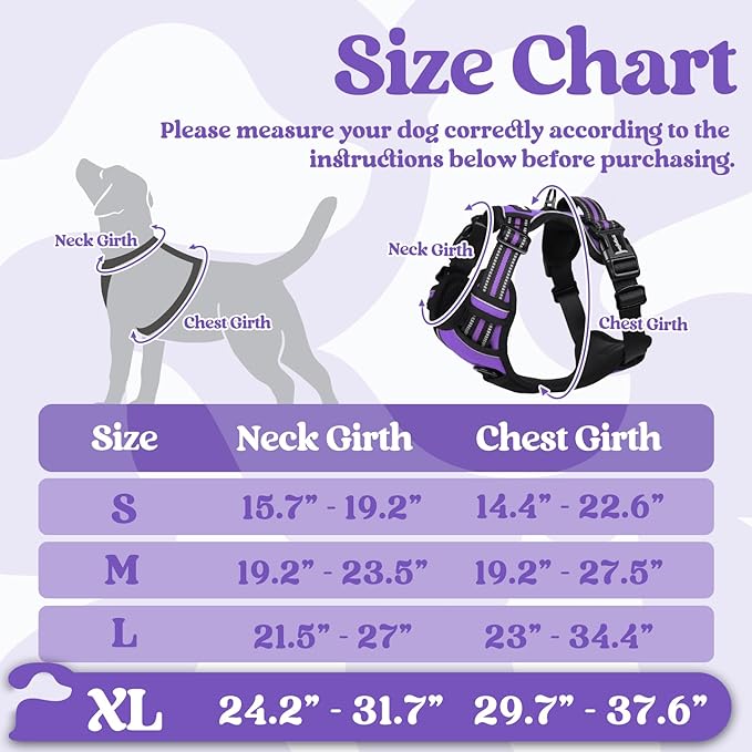 rabbitgoo Dog Harness for Large 3 Buckles,