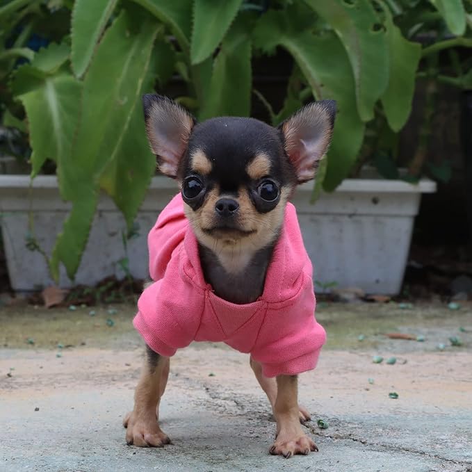 LOPHIPETS Lightweight Cotton Hoodie for Small Dogs –