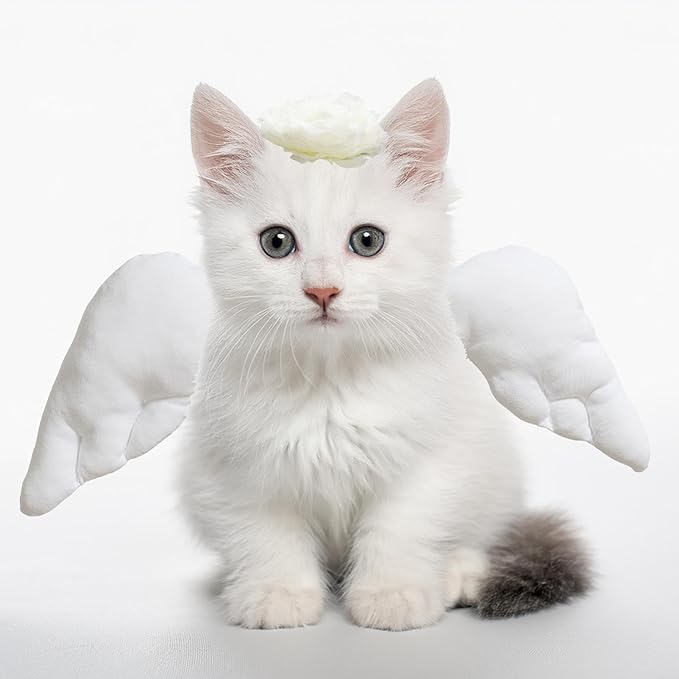 Pet Angel Wings and Headband Costume Accessory Set