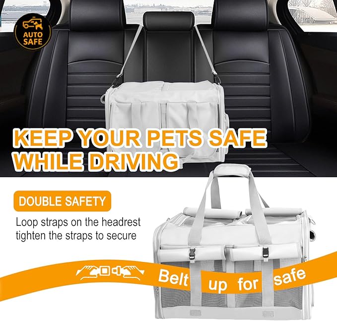 Cat Carrier with Wheels for 2 Cats 2 Cats 21" x 17" x 13" Not