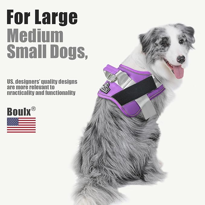 Bolux Dog Harness 1))