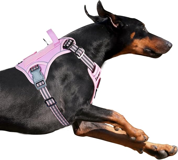 BUMBIN Tactical Dog Harness for Small Dogs No Pull