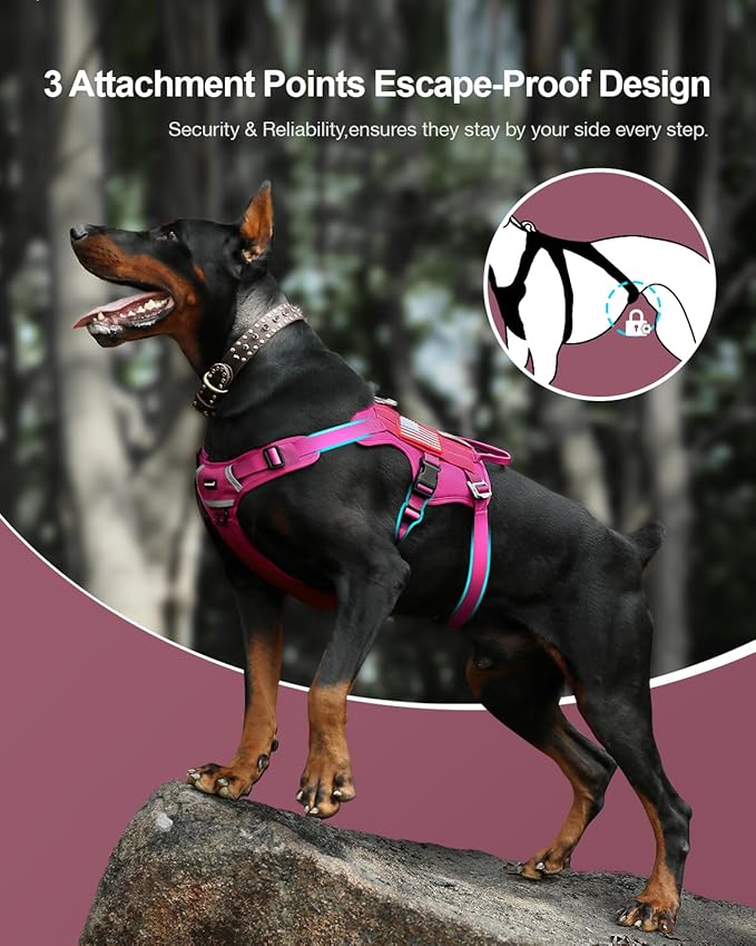 FAYOGOO Tactical Dog Harness for Large Dogs