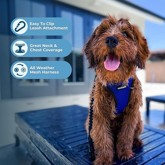 Voyager Step-in Air Dog Harness 16-18")