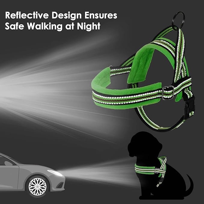 Lukovee Dog Harness and Leash Set 4ft Lightweight