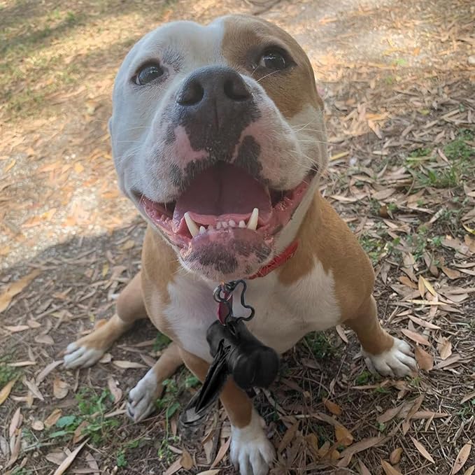 Best Pet Supplies Dog Poop Bags (360 Bags) for Waste Refuse Cleanup