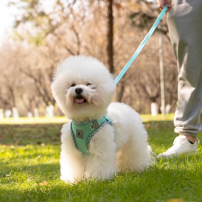 Dog Harness and Leash Set