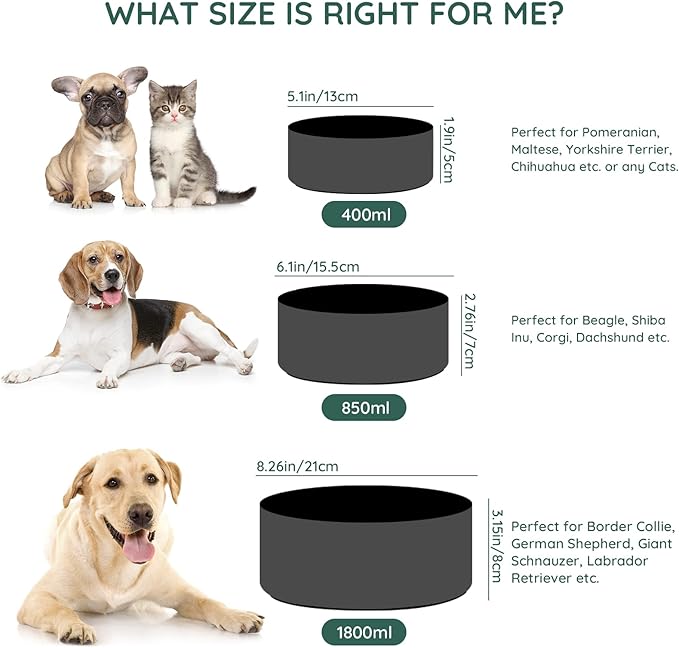 SPUNKYJUNKY Ceramic Dog and Cat Bowl Set with Wooden Stand (7.6 Cups, 2 ×