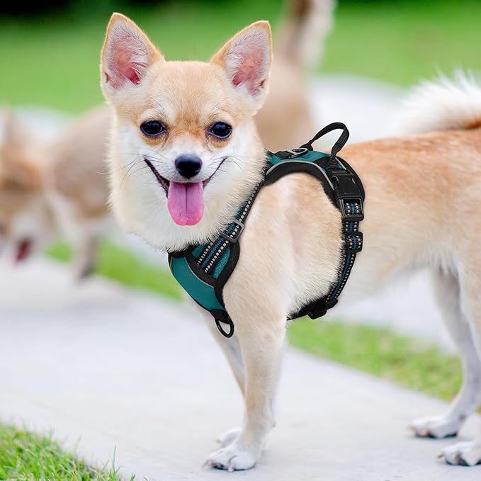 rabbitgoo Dog Harness 2 Leash