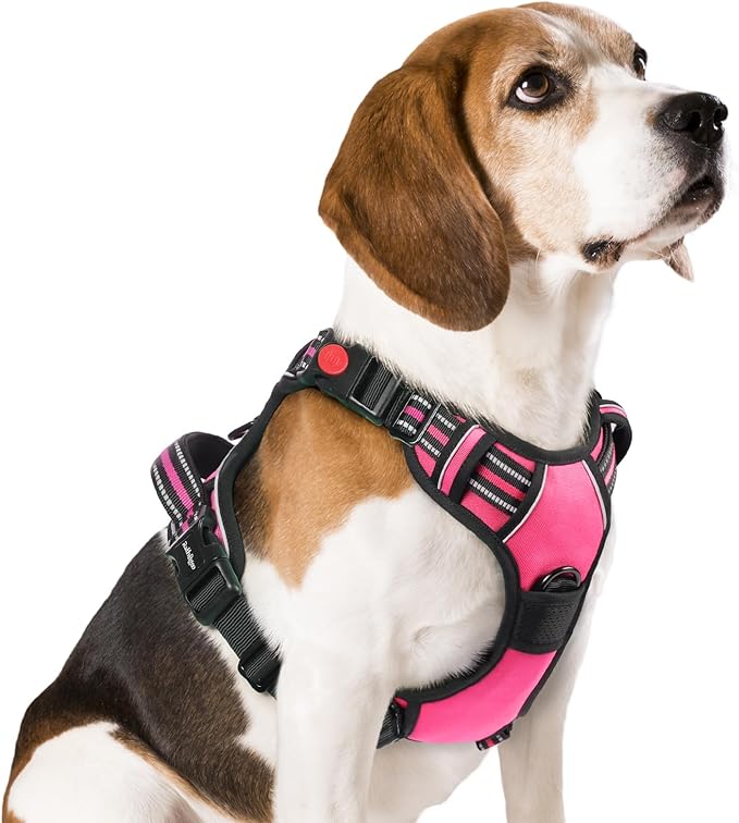 rabbitgoo Dog Harness Medium Sized 3 Buckles,
