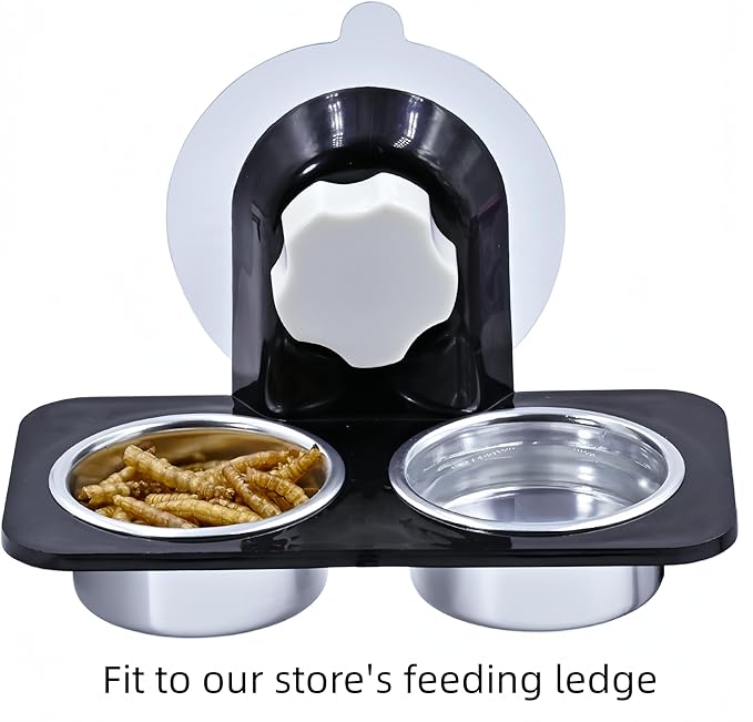 Crested Gecko Food and Water Feeding Metal Cups 10 Metal