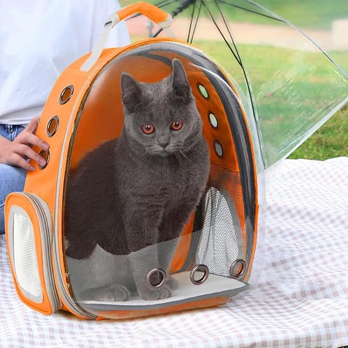 TOYSINTHEBOX Cat Backpack Carrier 13 Lbs