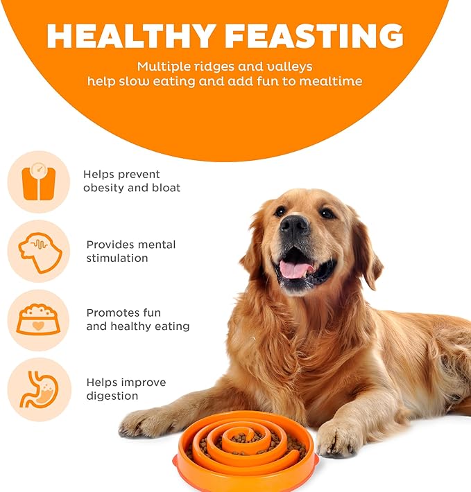 Outward Hound Fun Feeder Slo Bowl