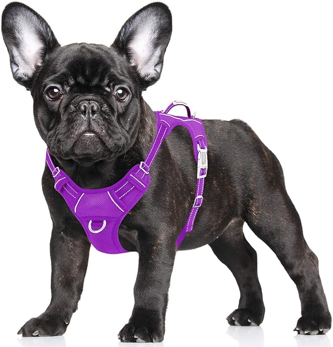 BARKBAY No Pull Dog Harness Large Step in Reflective Dog Harness with Front Clip and Easy Control Handle for Walking Training Running with ID tag Pocket(Purple