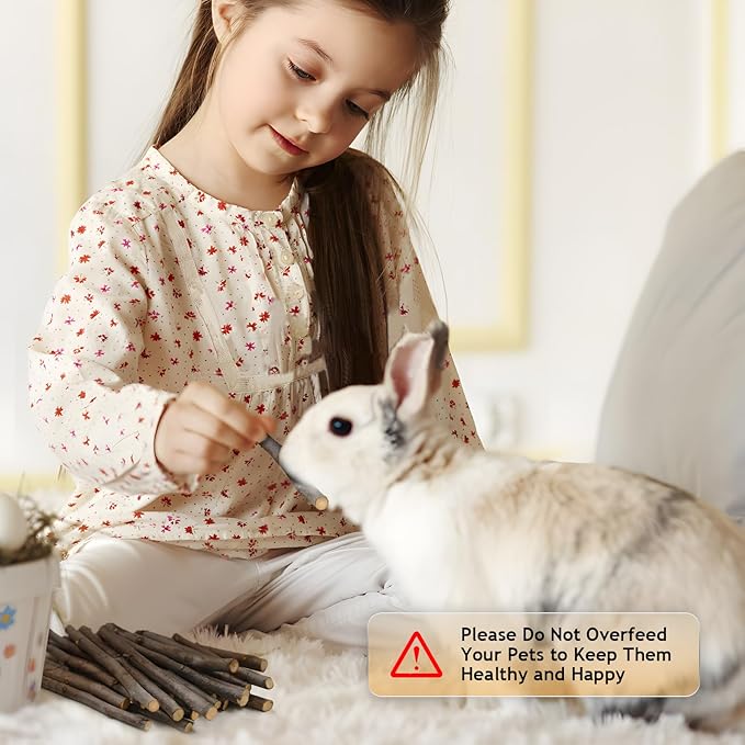 600g Organic Apple Sticks Small Animals Molar Wood Treats Toys for Chinchillas Guinea Pig Rabbits Hamster Gerbil Parrot Bunny Chew Stick Toys 21.2 OZ