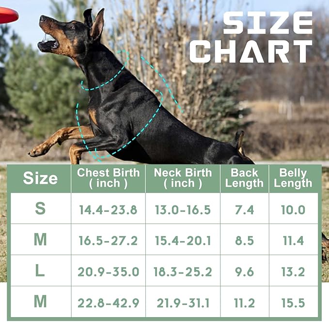 BUMBIN Tactical Dog Harness for Medium Dogs No Pull