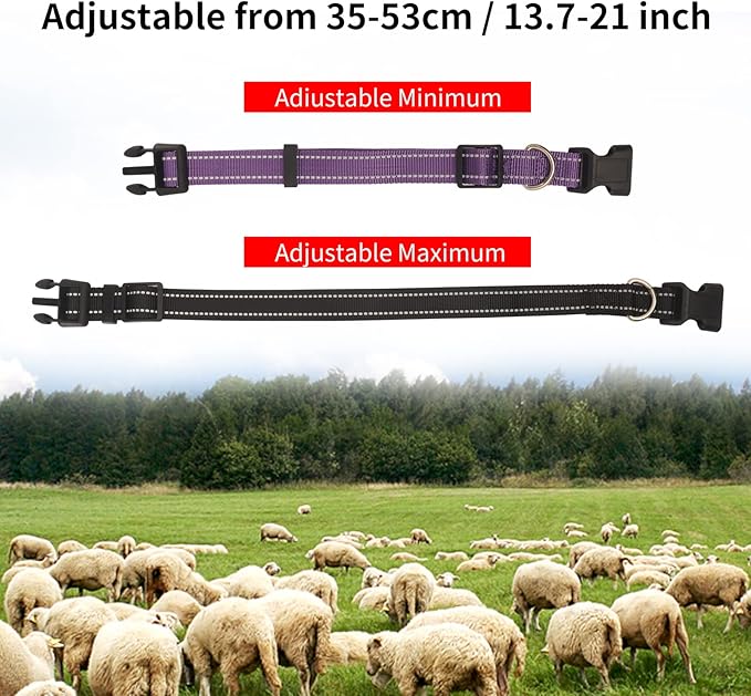 5 Pack Goat Collar with Bell