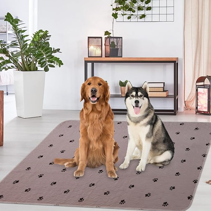 PUPTECK Washable Pee Pads for Dogs 1 Packs 72" x 72”- Fast