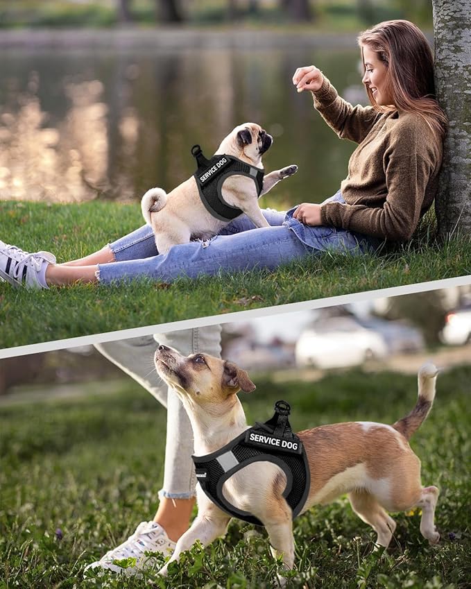 FAYOGOO Service Dog Vest for Medium Breed 6PCS Removable