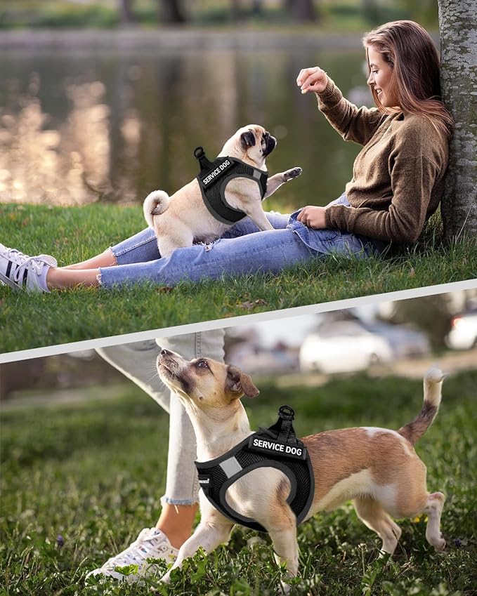 FAYOGOO Service Dog Vest for Small Breed 6PCS Removable