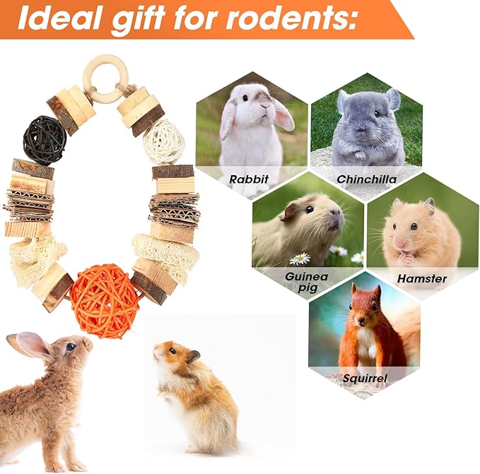 Abizoo Guinea Pig Chew Toys