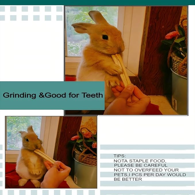 300g Snacks Sweet Bamboo Chew Toy for Rabbits Chew Sticks for Hamster Chinchilla Guinea Pig