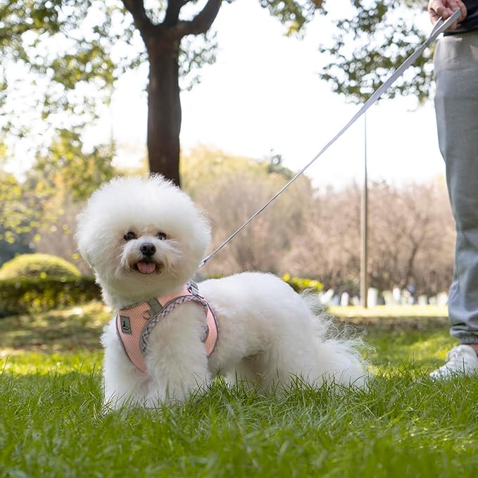 Dog Harness and Leash Set