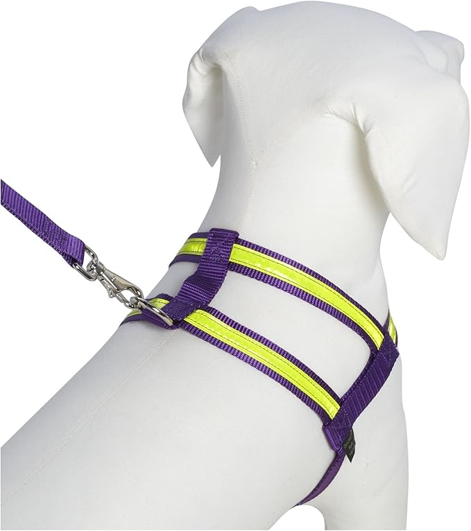 Purple Night Lite Harness