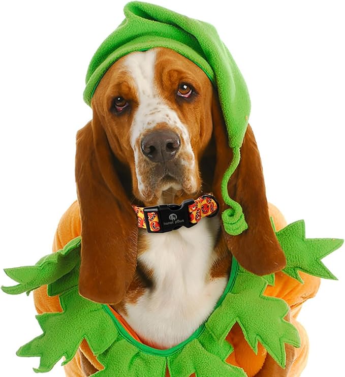 Lionet Paws Yellow Dogs Collar Halloween 13.5-22 inches
