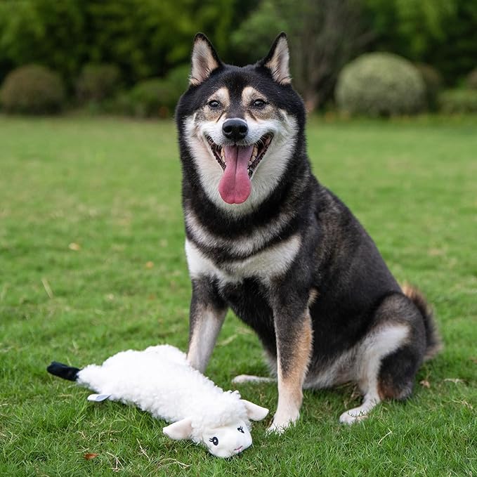 Best Pet Supplies 2-in-1 Stuffless Squeaky Dog Toys with Soft