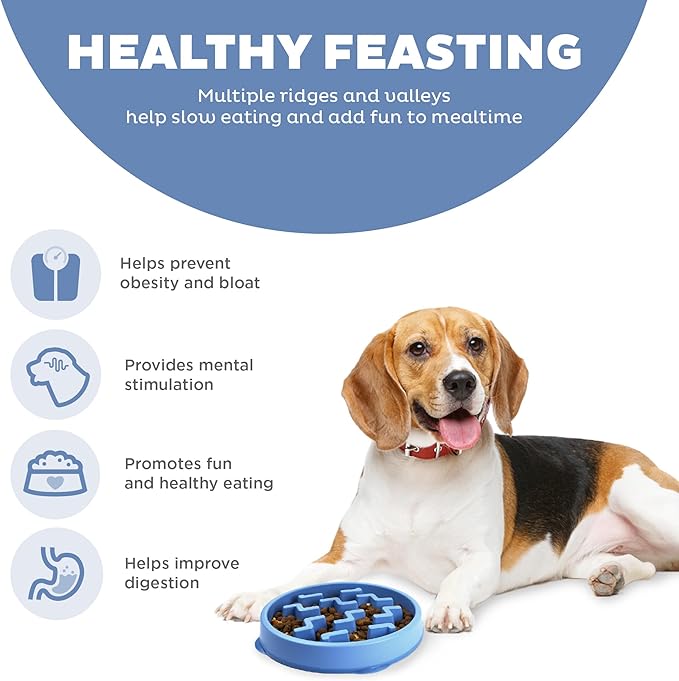 Outward Hound Fun Feeder Slo Bowl