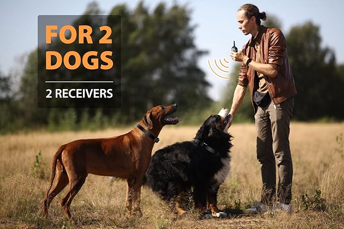 PATPET Dog Shock Collar for 2 Dogs 3/4 Mile (15-140lbs)