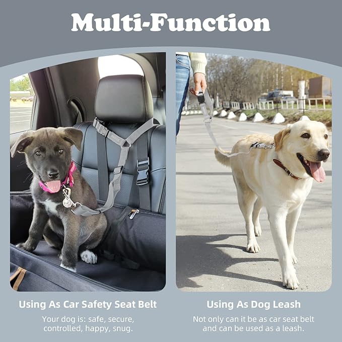 BWOGUE Pet Dog Cat Seat Belts (1 Pack)