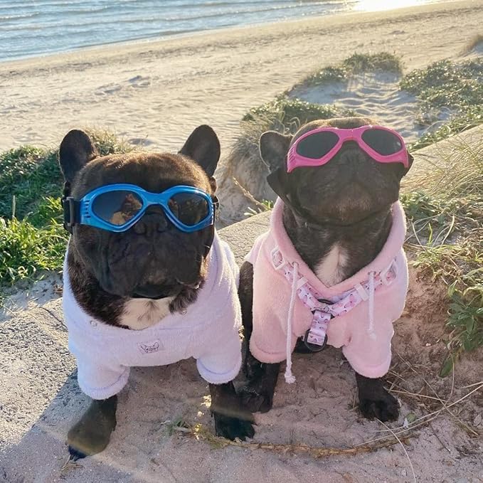 NAMSAN Dog Sunglasses Medium Breed UV Protection Dog Goggles for Small to Medium Dogs Windproof Anti-fog Snowproof Puppy Glasses