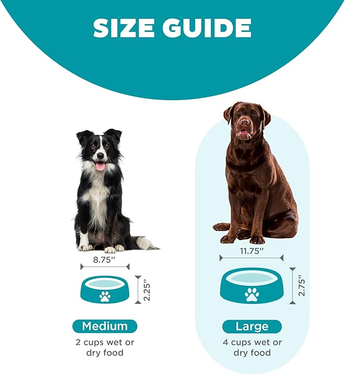 Outward Hound Fun Feeder Slo Bowl